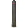Image 1 - ICOM